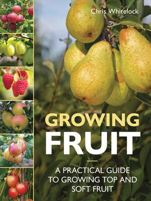 cover image of Growing Fruit